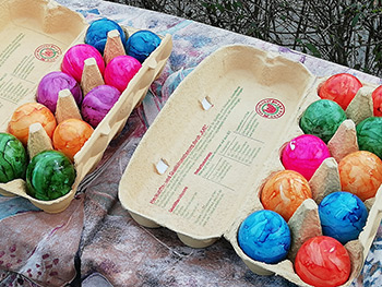 IMG 20180403 160822 web