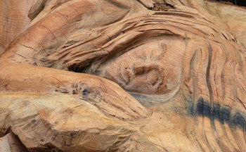 schlafende urschel web